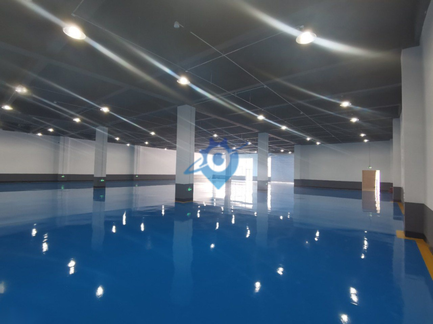 出租空港经济区现房精装修厂房和办公楼,面积2000-13000㎡