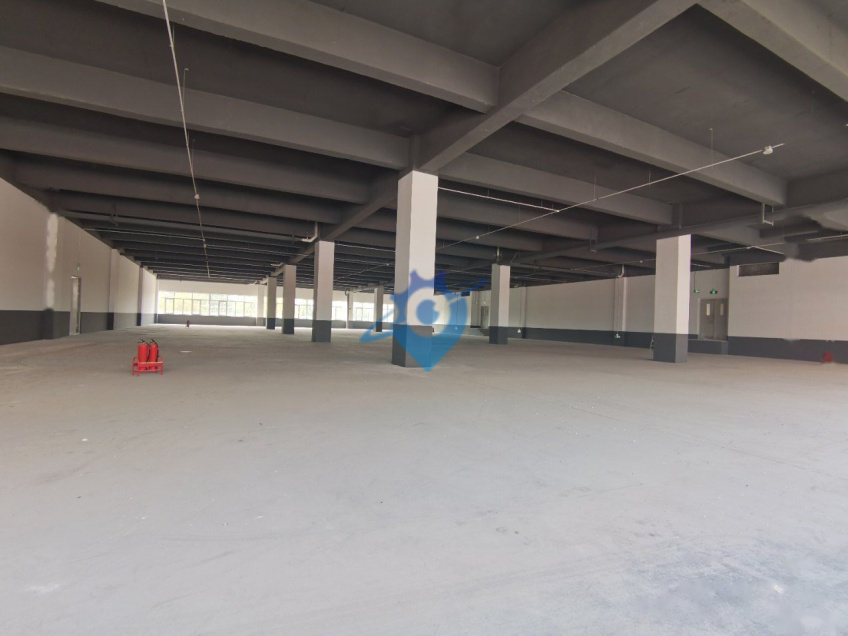 出租空港经济区现房精装修厂房和办公楼,面积2000-13000㎡